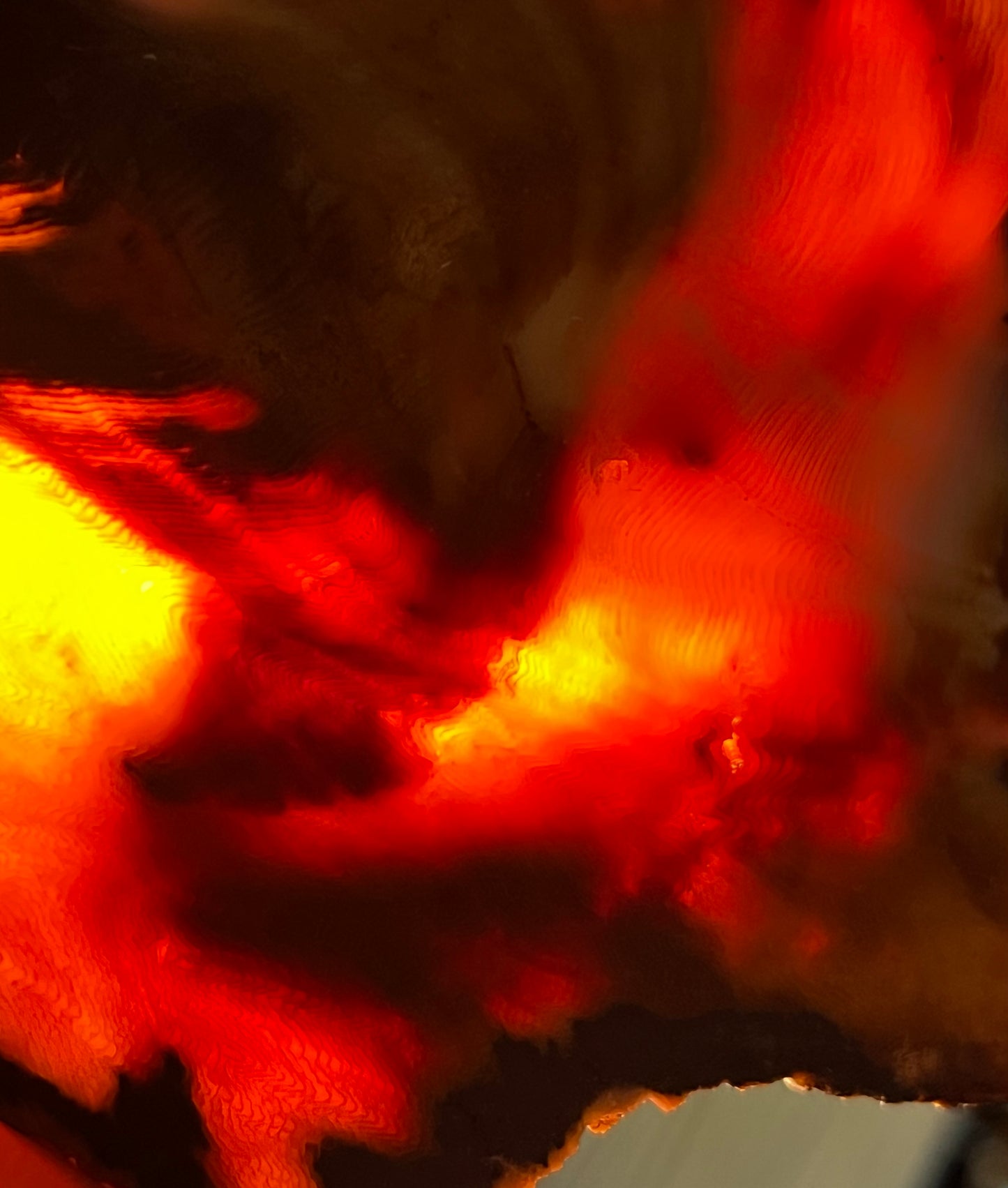 Eternal Ember: A Luminous Relic of Opalized Wood from the Nevada Desert
