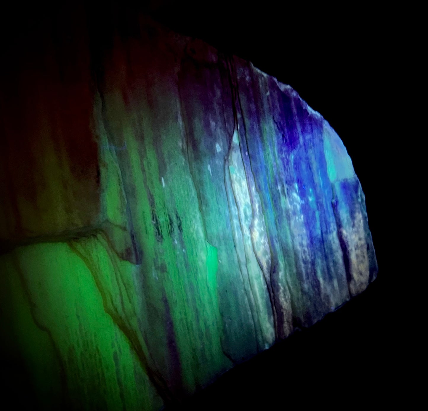 Fluorescent Opalized Petrified Wood – Glows Neon Green & Blue Under 310nm UV Midwave – Rare Fossil From Nevada