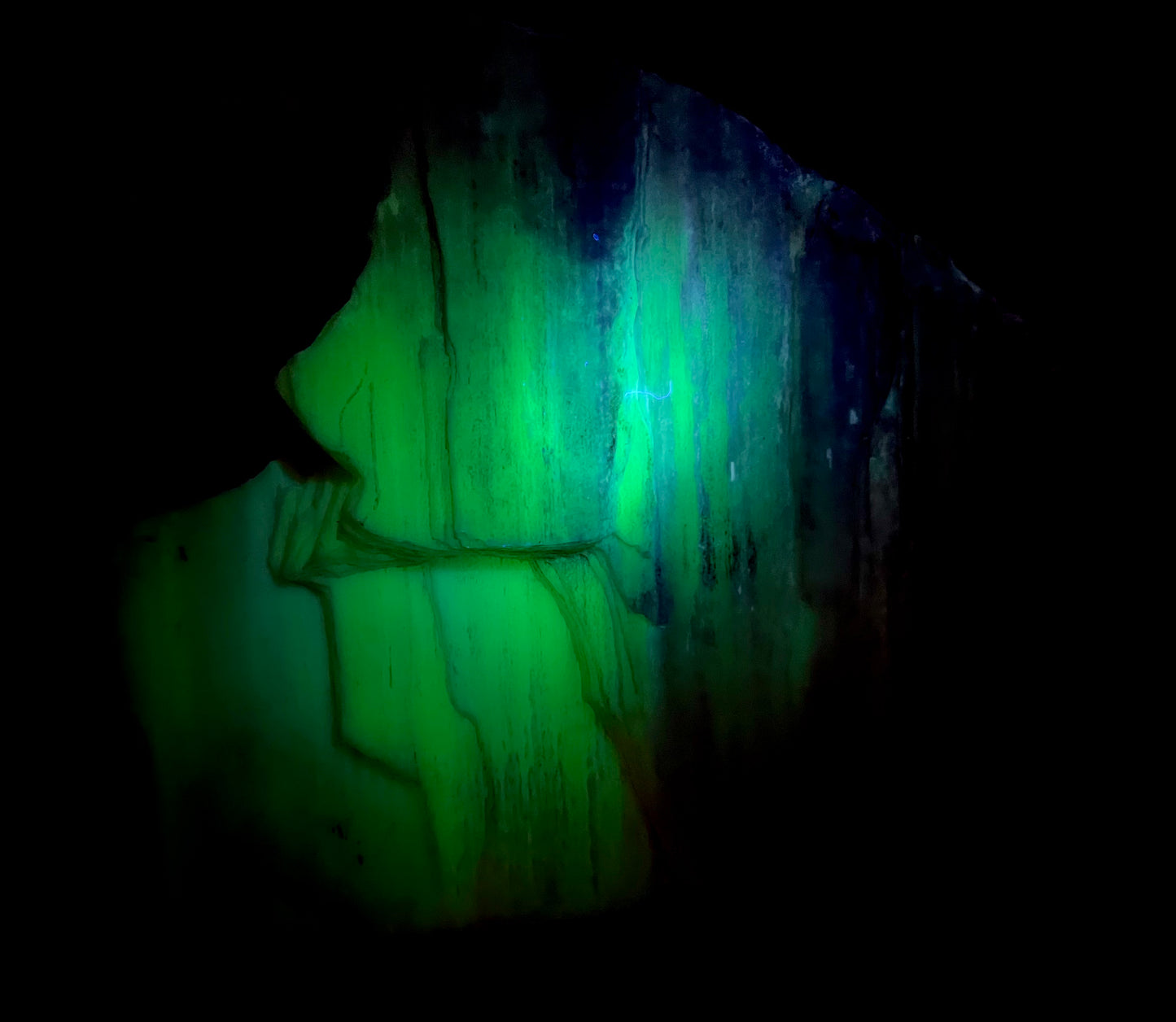Fluorescent Opalized Petrified Wood – Glows Neon Green & Blue Under 310nm UV Midwave – Rare Fossil From Nevada