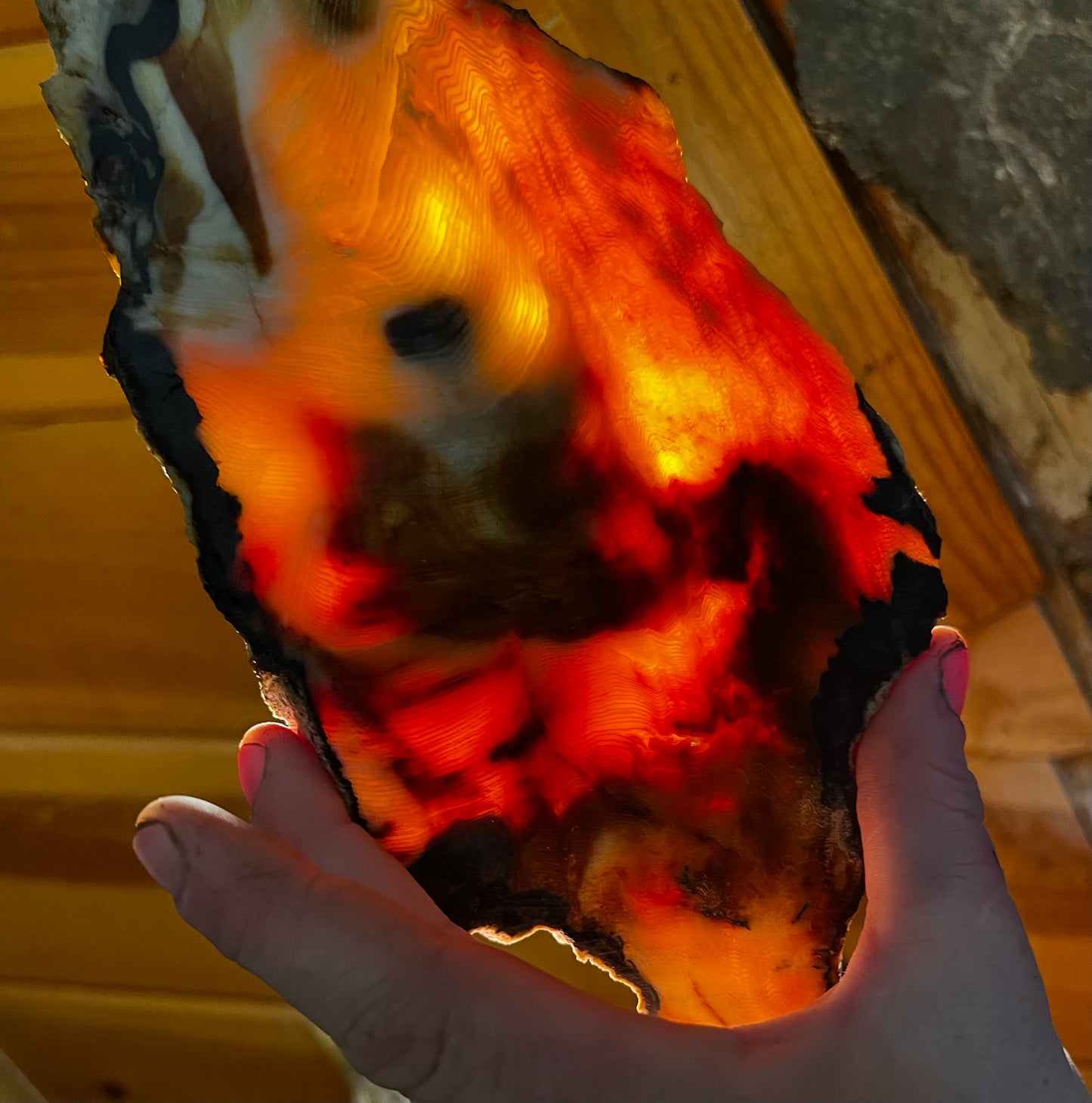 Eternal Ember: A Luminous Relic of Opalized Wood from the Nevada Desert
