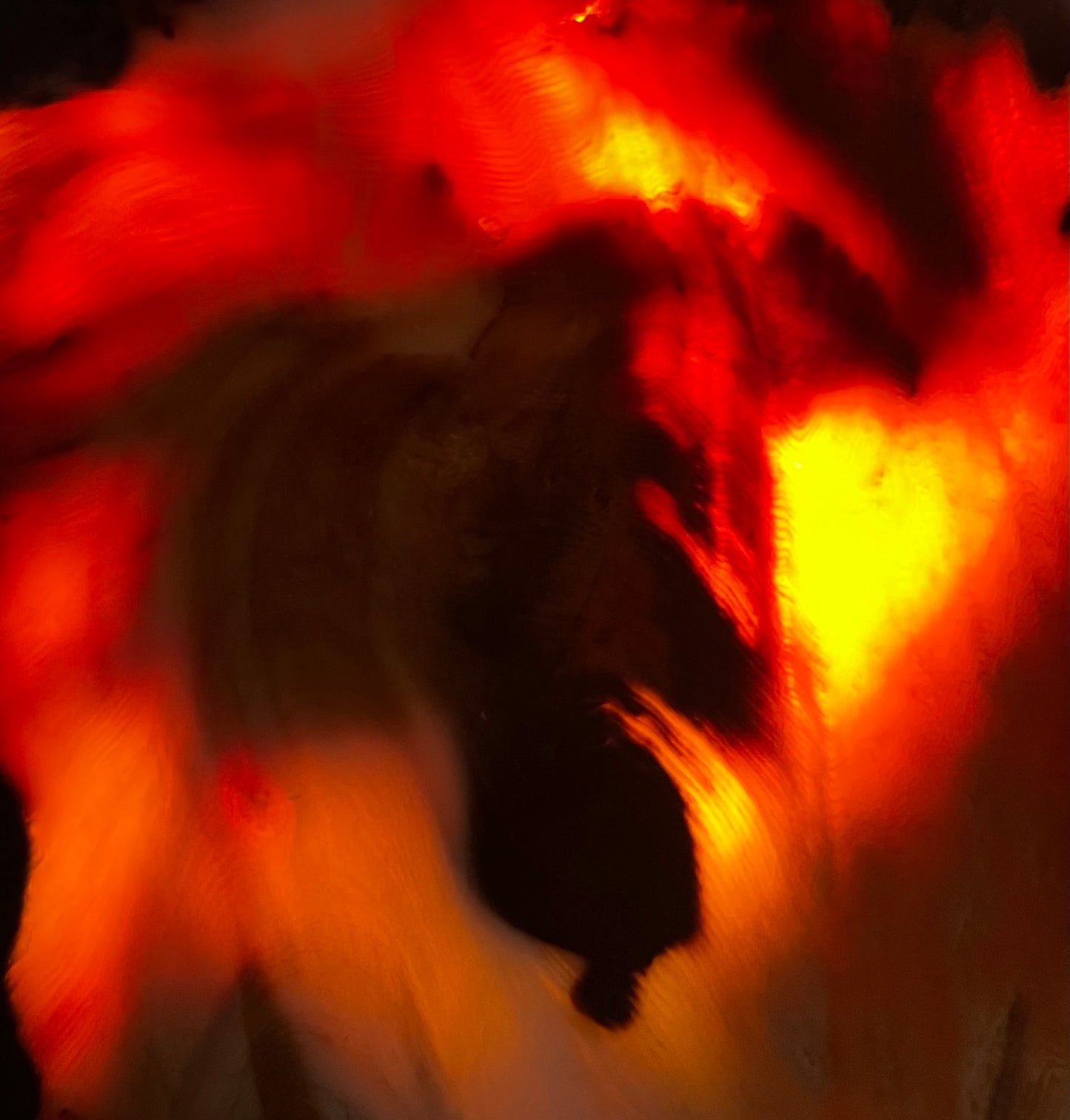 Eternal Ember: A Luminous Relic of Opalized Wood from the Nevada Desert