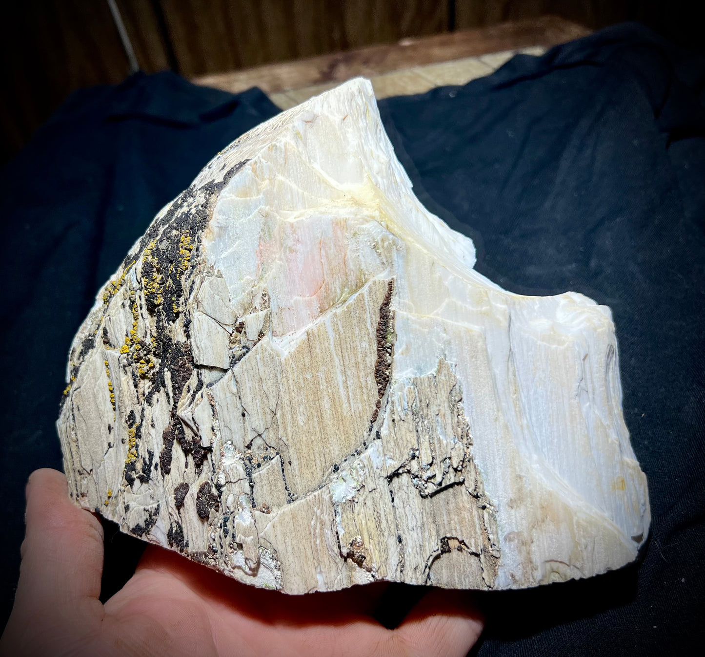 Fluorescent Opalized Petrified Wood – Glows Neon Green & Blue Under 310nm UV Midwave – Rare Fossil From Nevada