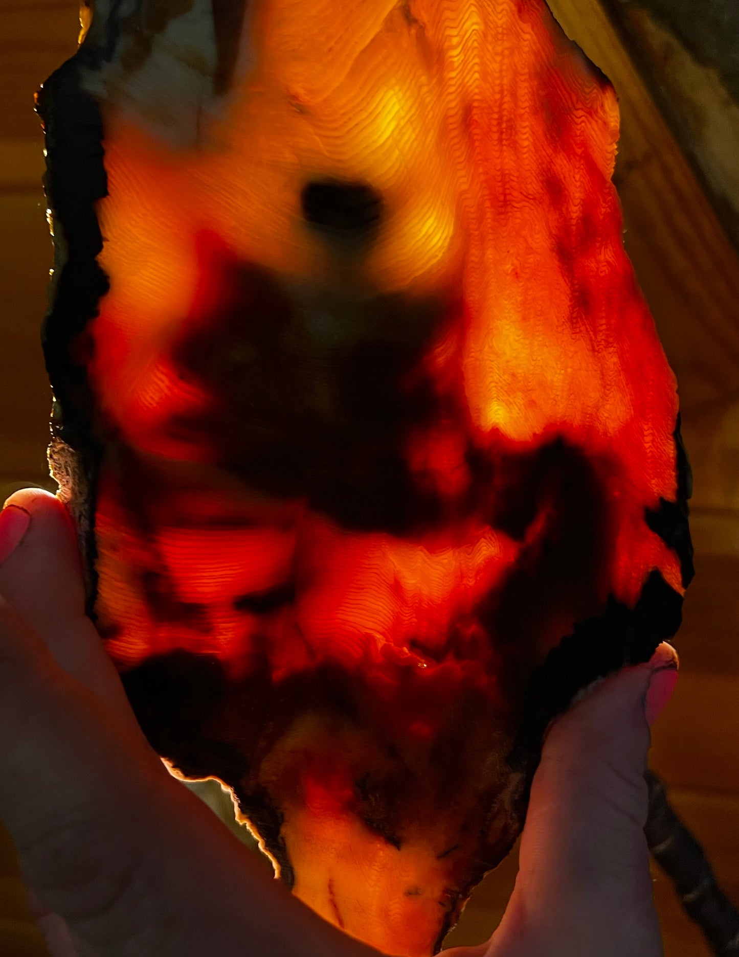 Eternal Ember: A Luminous Relic of Opalized Wood from the Nevada Desert