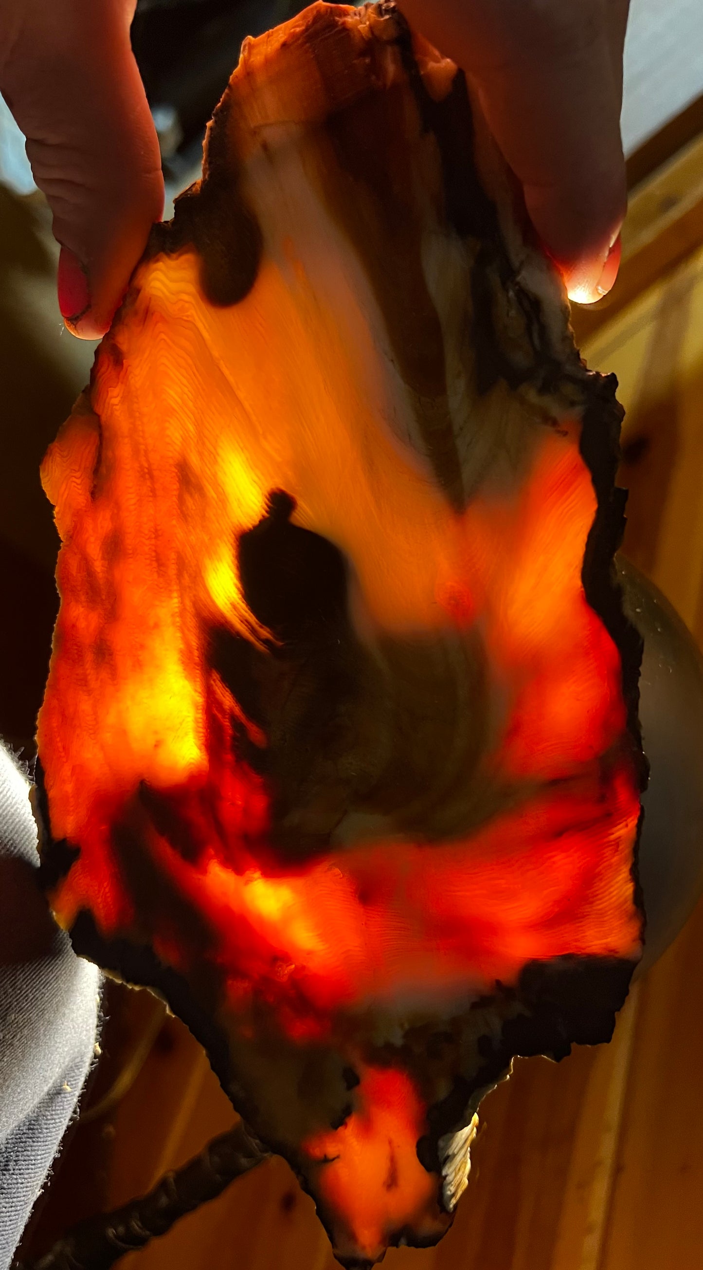 Eternal Ember: A Luminous Relic of Opalized Wood from the Nevada Desert