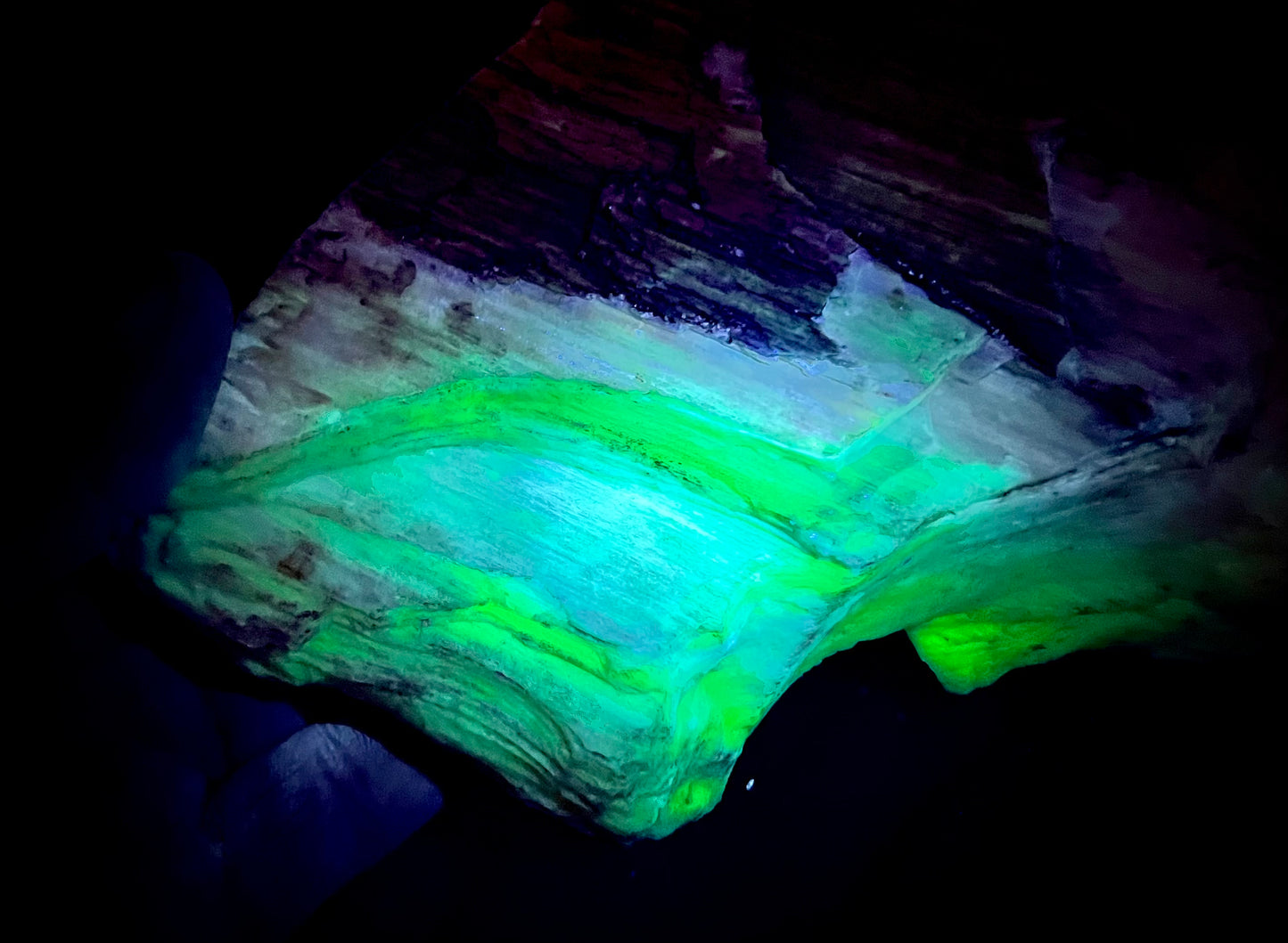 Fluorescent Opalized Petrified Wood – Glows Neon Green & Blue Under 310nm UV Midwave – Rare Fossil From Nevada
