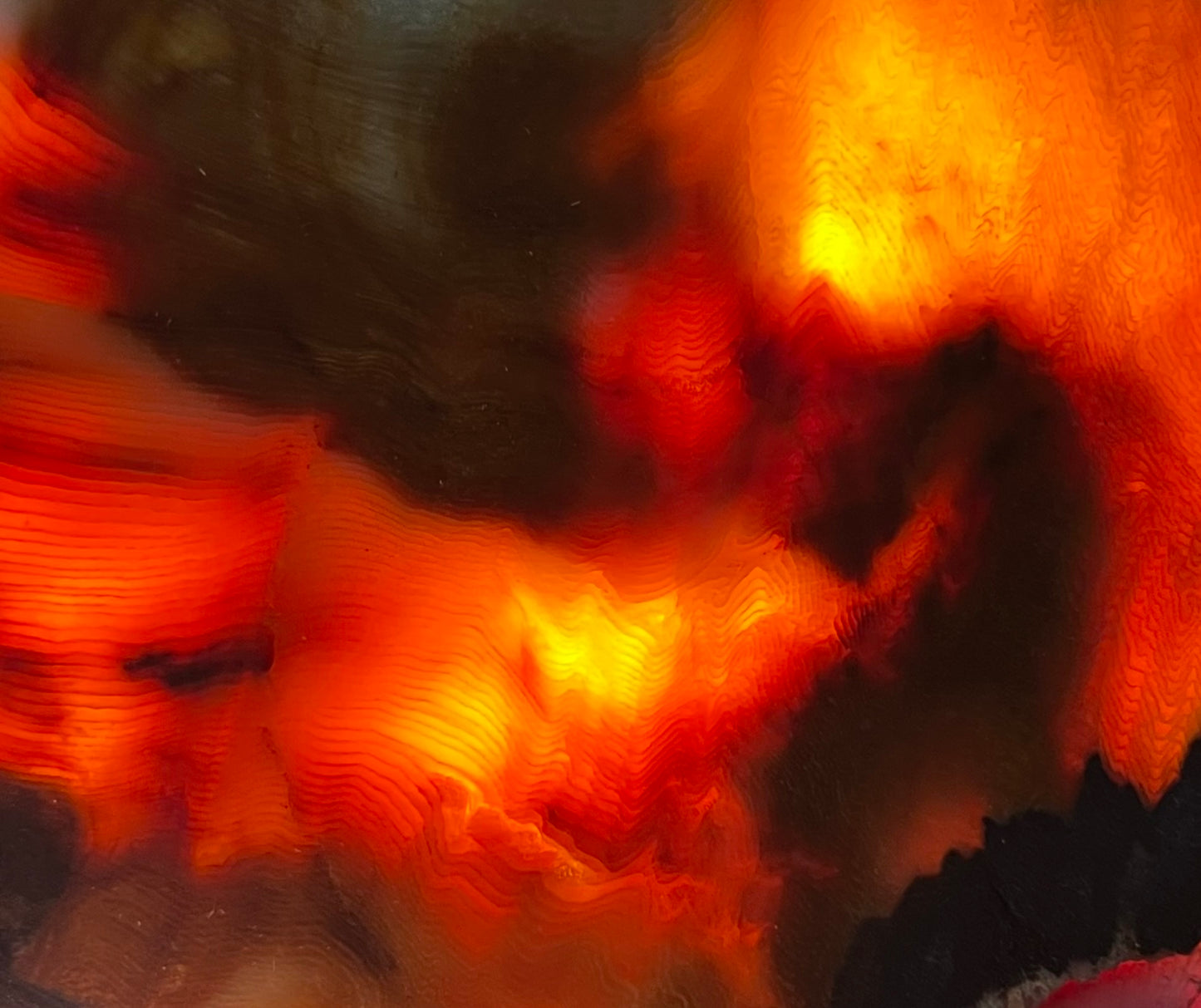 Eternal Ember: A Luminous Relic of Opalized Wood from the Nevada Desert