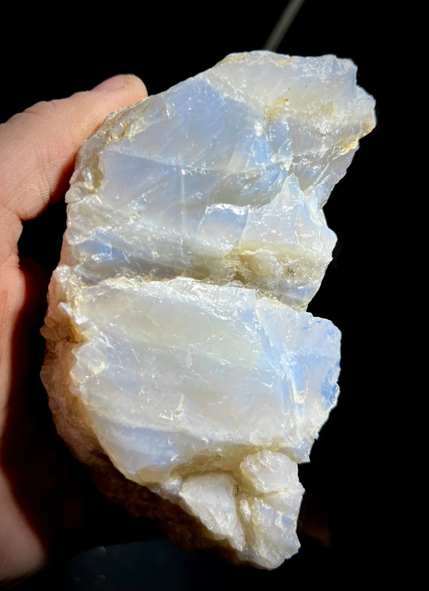 Asteriated Blue Quartz – Rare Star Quartz from California | Backlit Golden Glow