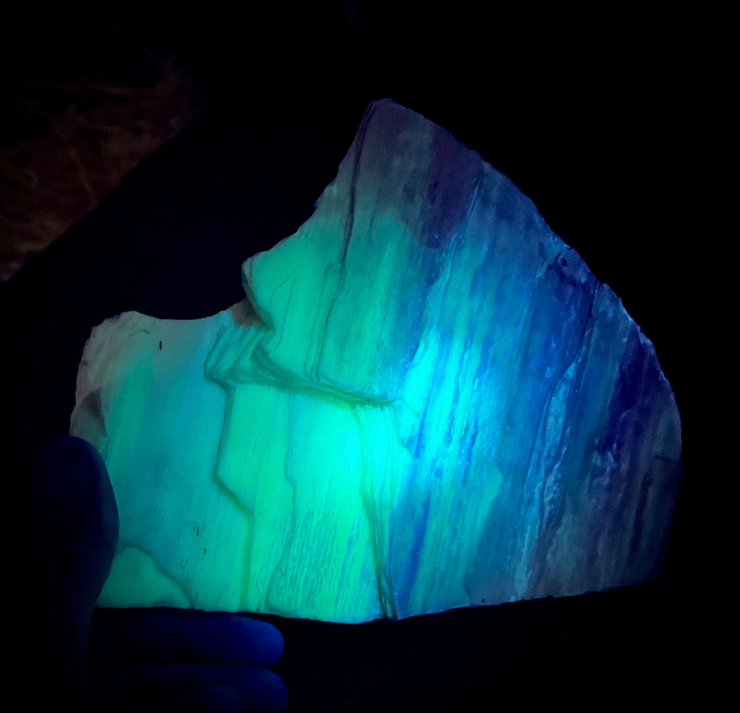Fluorescent Opalized Petrified Wood – Glows Neon Green & Blue Under 310nm UV Midwave – Rare Fossil From Nevada