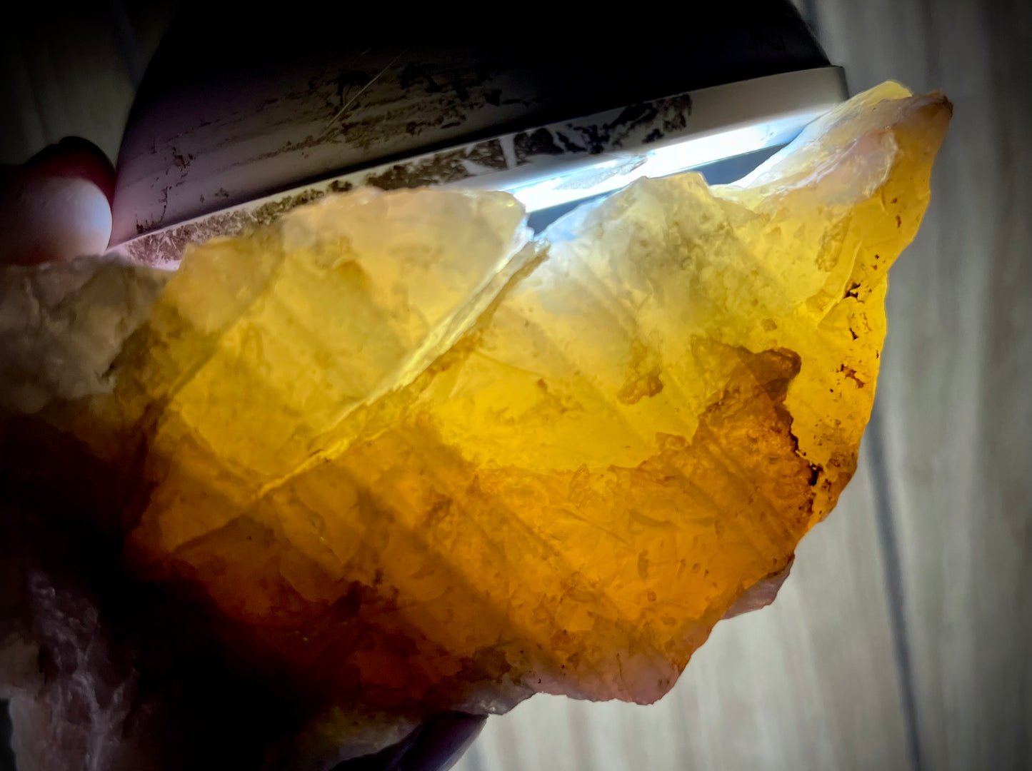 Asteriated Blue Quartz – Rare Star Quartz from California | Backlit Golden Glow