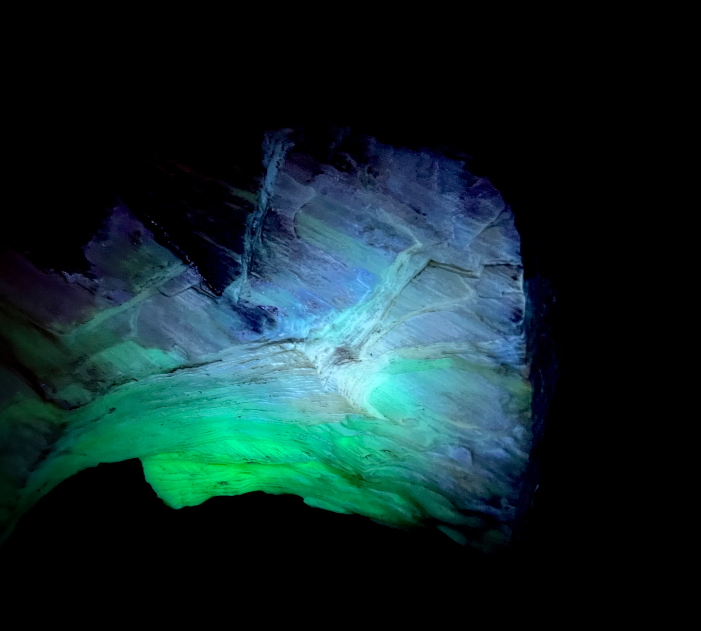 Fluorescent Opalized Petrified Wood – Glows Neon Green & Blue Under 310nm UV Midwave – Rare Fossil From Nevada