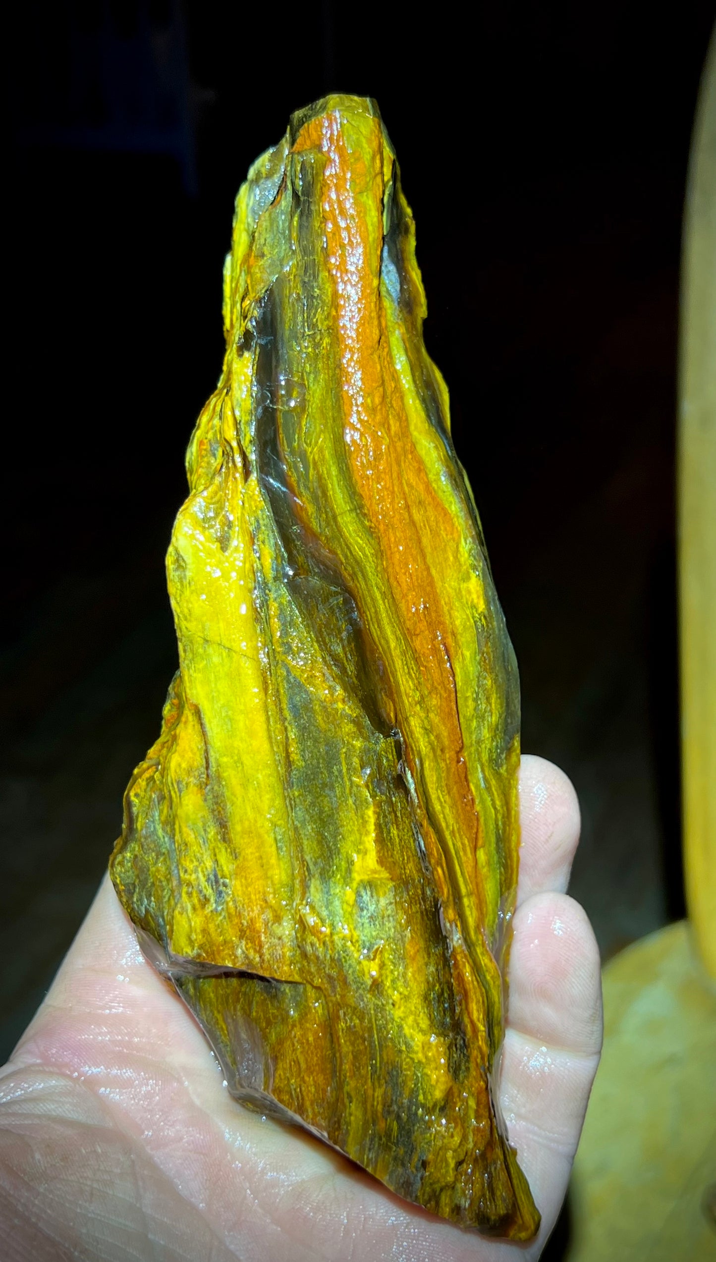 Fire Opal Roots 4.5 Pound Opalized Tree Root Parcel - 8 Vibrant Pieces - Yellow & Orange Lapidary Rough or Display