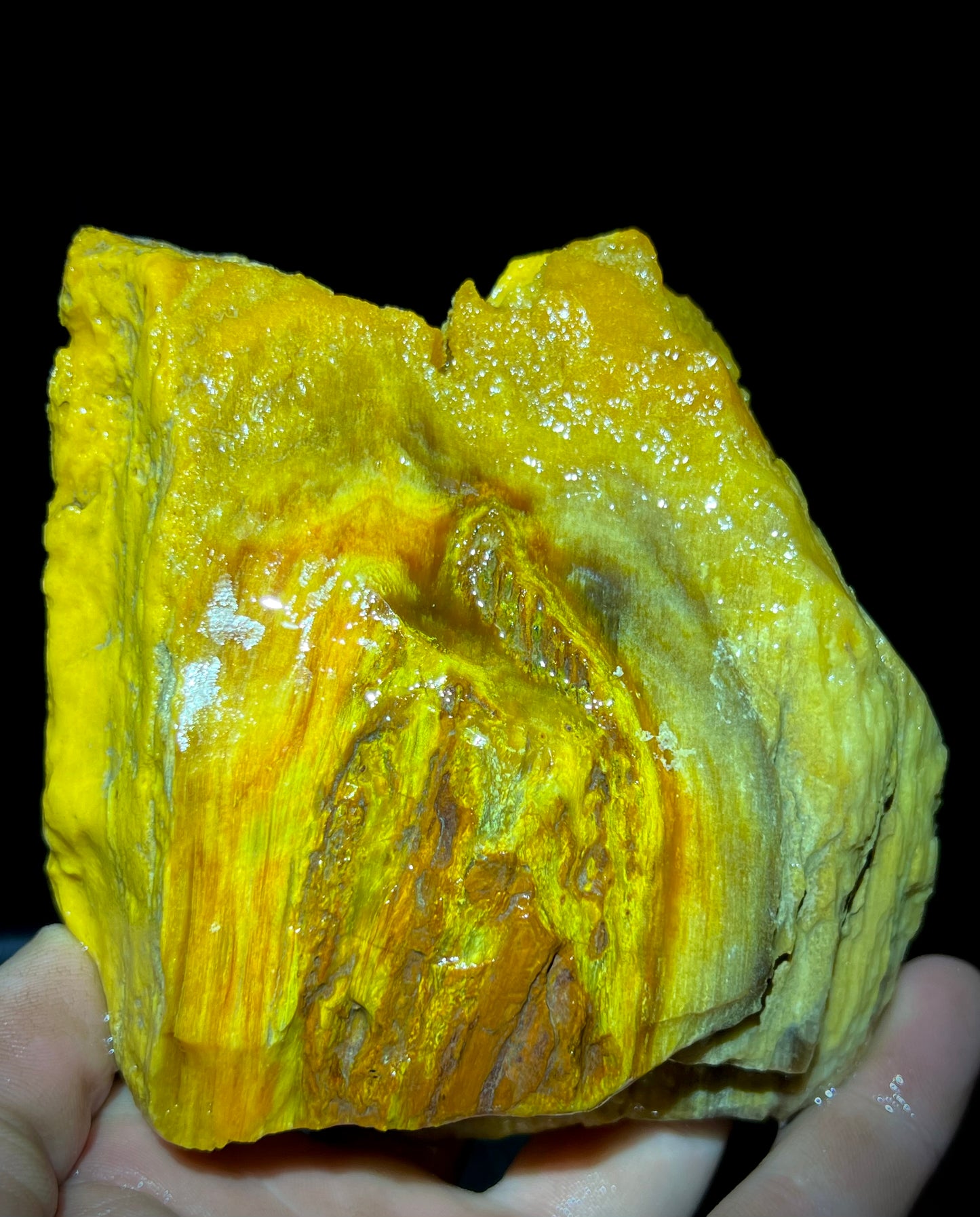 Fire Opal Roots 4.5 Pound Opalized Tree Root Parcel - 8 Vibrant Pieces - Yellow & Orange Lapidary Rough or Display