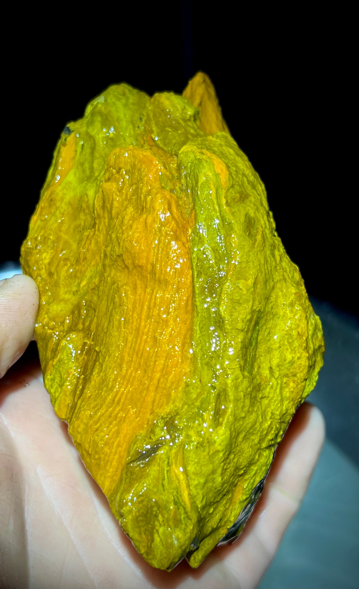 Fire Opal Roots 4.5 Pound Opalized Tree Root Parcel - 8 Vibrant Pieces - Yellow & Orange Lapidary Rough or Display