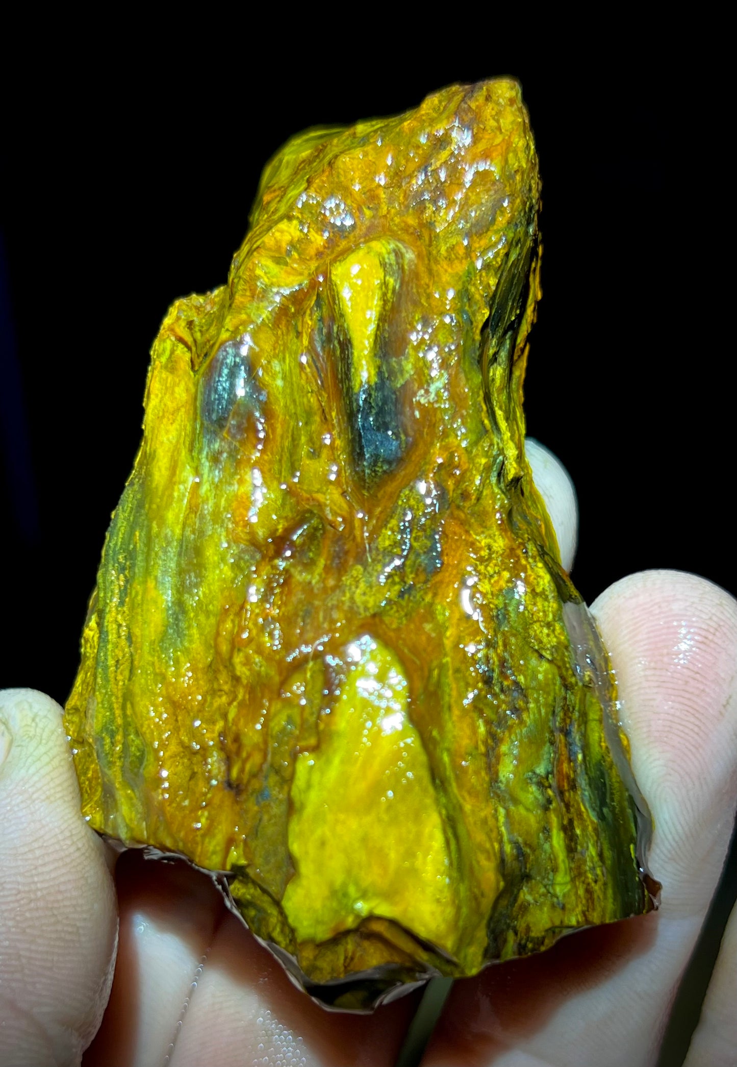 Fire Opal Roots 4.5 Pound Opalized Tree Root Parcel - 8 Vibrant Pieces - Yellow & Orange Lapidary Rough or Display