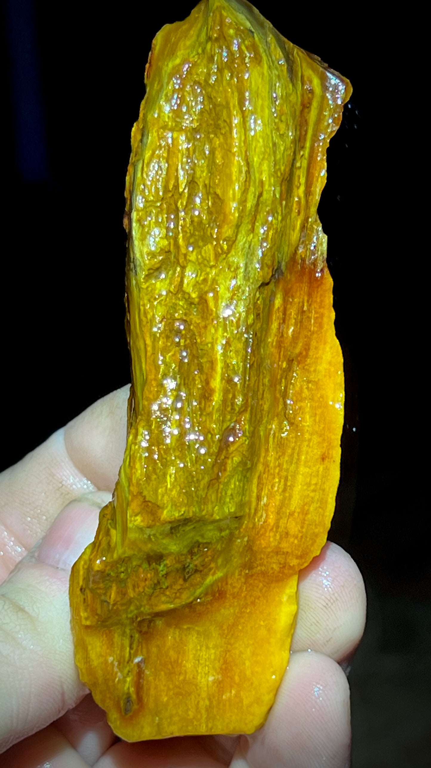 Fire Opal Roots 4.5 Pound Opalized Tree Root Parcel - 8 Vibrant Pieces - Yellow & Orange Lapidary Rough or Display