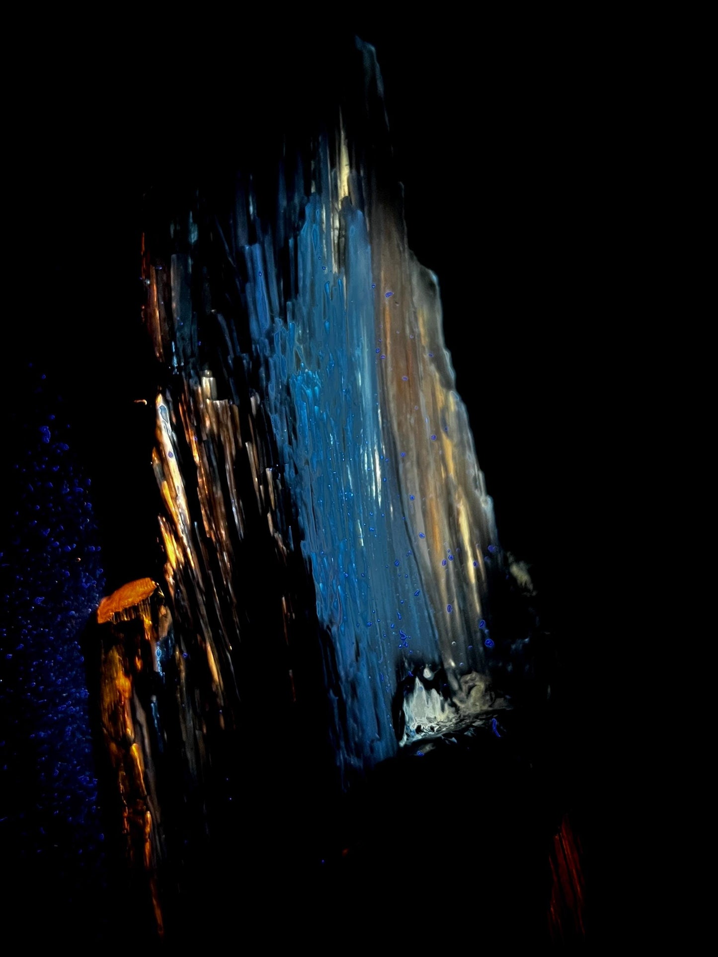 Stunning Rare Fluorescent Opalized Wood Specimen | Multi-Colored UV Reactive | 365nm UV Required