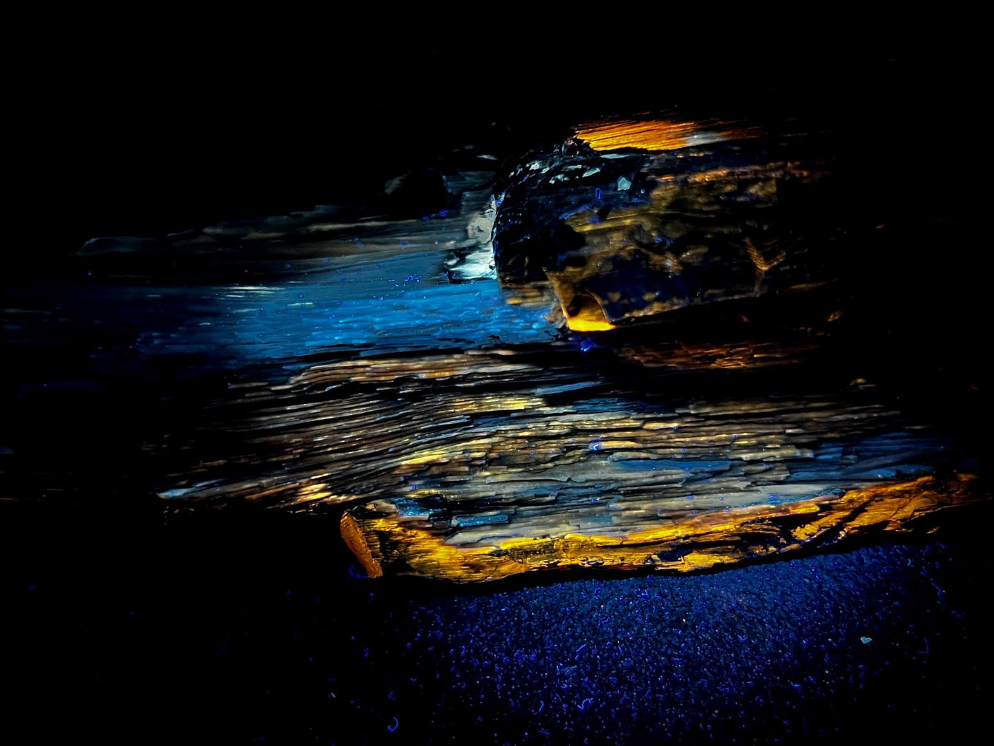 Stunning Rare Fluorescent Opalized Wood Specimen | Multi-Colored UV Reactive | 365nm UV Required
