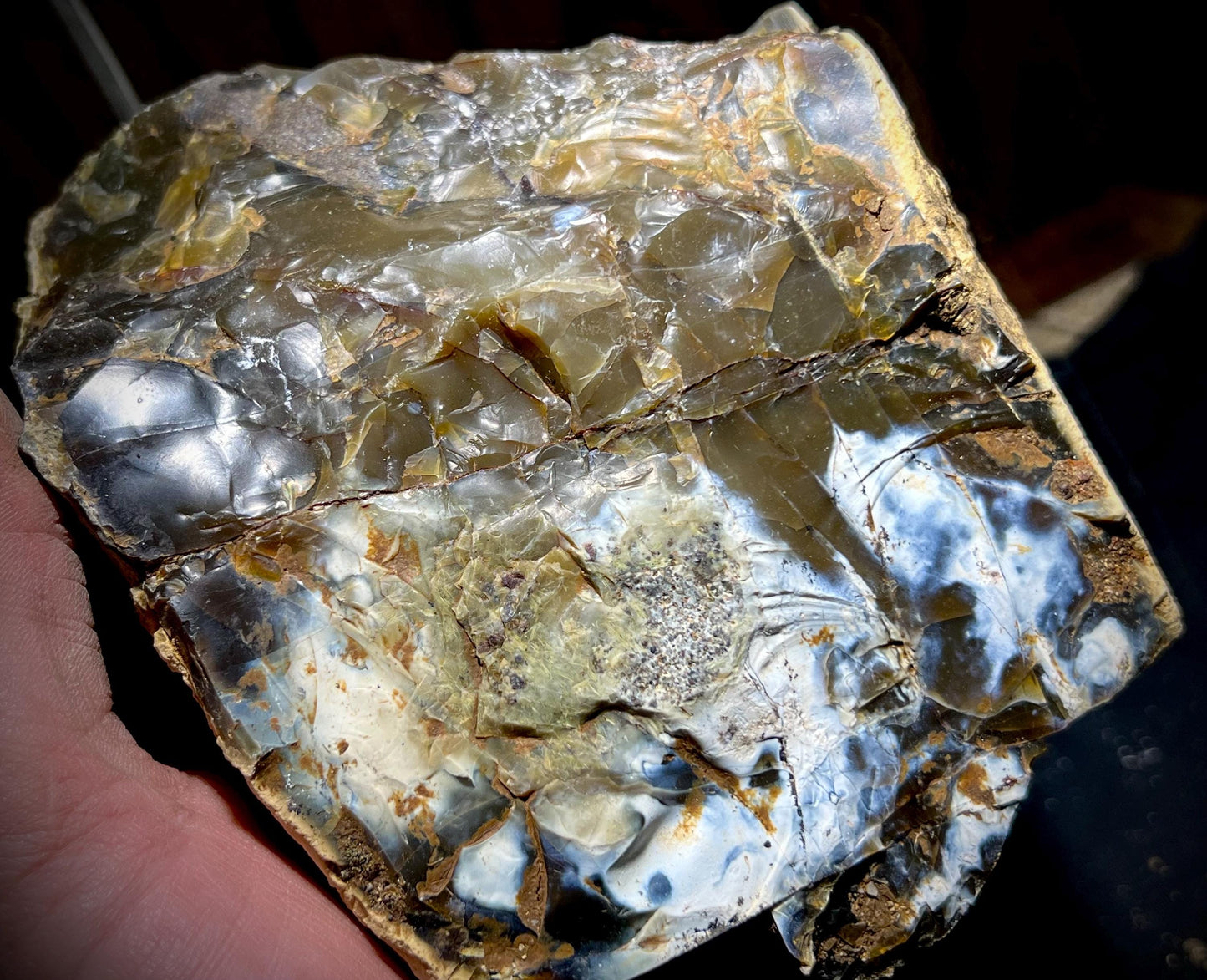 Jelly Opal with Brecciated Matrix – Rare Translucent Common Opal with Amber, Blue & Smoky Zones | California Origin